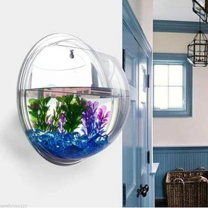 Hydroponic Wall-Mounted Planter & Fish Tank Aquarium Bowl – Home Décor & Mini Hanging Aquarium