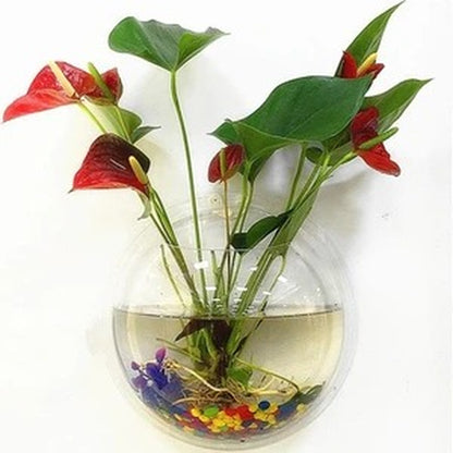 Hydroponic Wall-Mounted Planter & Fish Tank Aquarium Bowl – Home Décor & Mini Hanging Aquarium