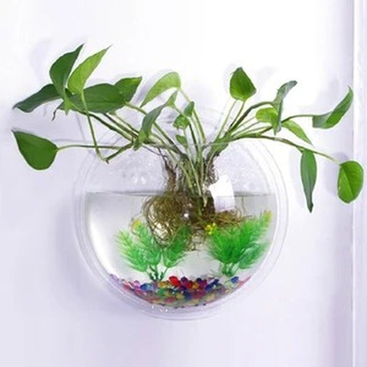 Hydroponic Wall-Mounted Planter & Fish Tank Aquarium Bowl – Home Décor & Mini Hanging Aquarium